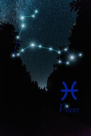 dark landscape with night starry sky and Pisces constellationの写真素材
