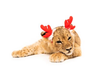 cute lion cub in red deer horns headband isolated on white