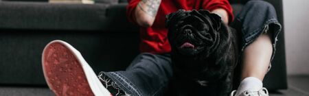 Cropped view of pug dog sitting beside woman with prosthetic leg on floor at home, panoramic shotの写真素材