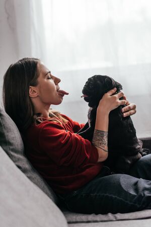 Side view of young woman sticking out tongue to pug dog on sofaの写真素材