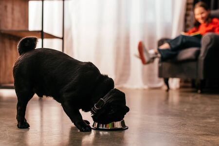 Selective focus of pug eating from bowl and girl with prosthetic leg reading book in armchairの写真素材