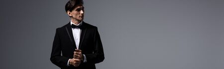 Panoramic shot of handsome young man in suit, isolated on greyの写真素材