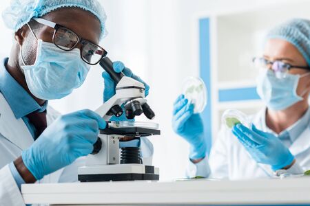 selective focus of african american biologist using microscope and his colleague holding leaves
