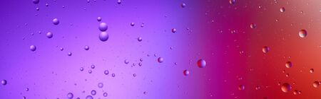 Panoramic shot of  purple and red color abstract  from mixed water and oil bubbles