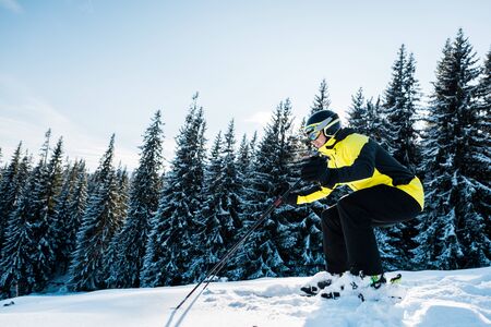 skier in helmet skiing on snow near firsの写真素材