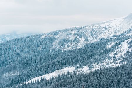 Scenic view of snowy mountains with pine trees in white fluffy clouds