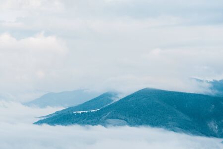 Scenic view of snowy mountains with pine trees in white fluffy clouds