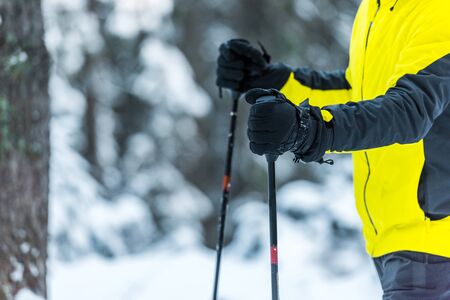 cropped view of skier holding ski sticks in wintertimeの写真素材