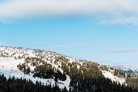 Scenic view of snowy mountain with pine trees in sunshine