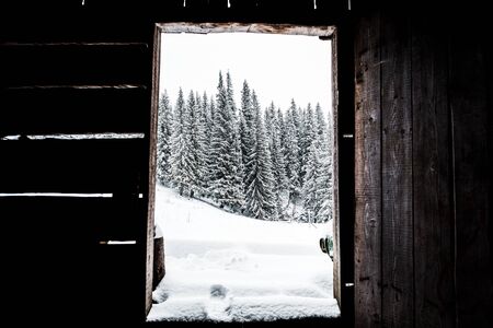 scenic view of snowy mountains with pine trees and white fluffy cloudsの写真素材