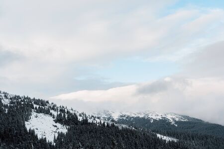 Scenic view of snowy mountains with pine trees in white fluffy cloudsの写真素材