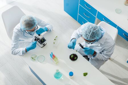 overhead view of african american biologist looking at leaf with magnifier and his colleague using microscopeの写真素材