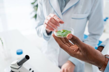 cropped view of multicultural biologists pointing with finger at leaves in labの写真素材
