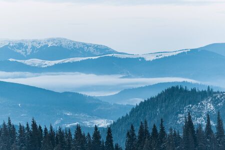 scenic view of snowy mountains with pine trees and cloudy sky