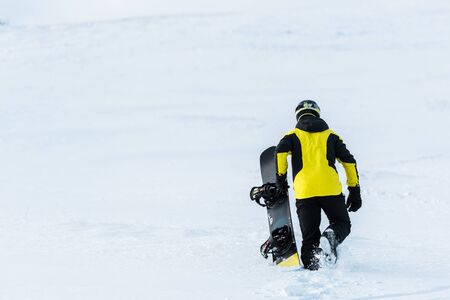 Back view of sportsman holding snowboard while walking on snowの写真素材
