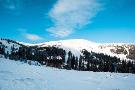 Scenic view of snowy mountain village among with pine trees in sunshineの写真素材