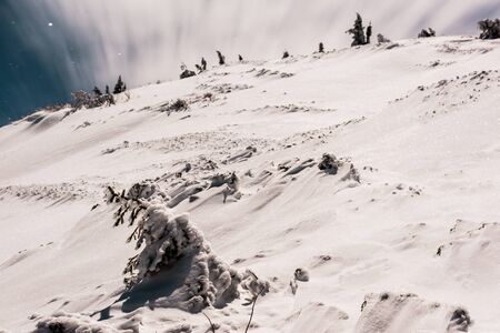 scenic view of snowy mountain with pine trees and white fluffy clouds in dark sky in eveningの写真素材