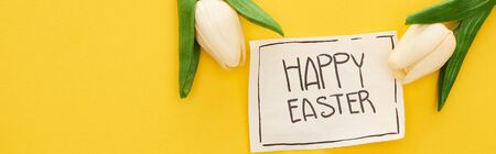top view of greeting card with happy Easter lettering and tulips on yellow colorful background, panoramic shotの写真素材
