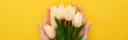 cropped view of woman holding spring tulips on colorful yellow background, panoramic shotの写真素材