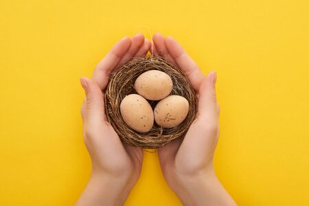 cropped view of woman holding chicken eggs in nest on colorful yellow backgroundの写真素材
