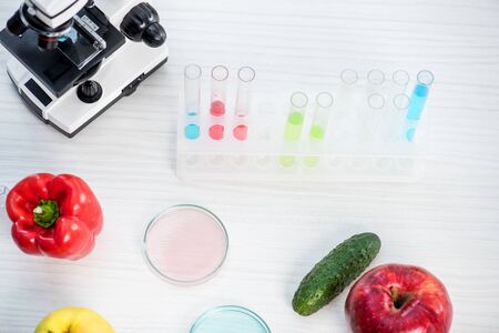 high angle view of microscope, fruit, vegetables, test tubes and petri dishes on table in labの写真素材