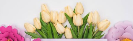 top view of tulips in violet shopping bag with paper flowers isolated on white, panoramic shotの写真素材
