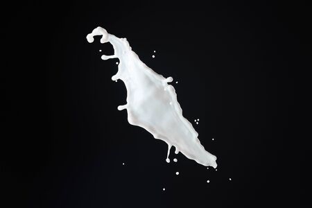 fresh white milk splash isolated on blackの写真素材