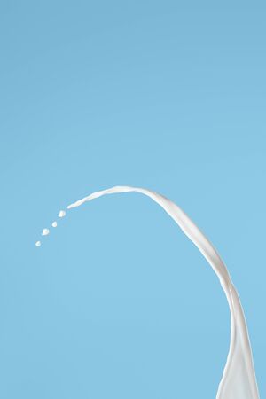 fresh white milk splash isolated on blueの写真素材