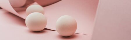 chicken eggs in spiral paper pink swirls, panoramic shotの写真素材