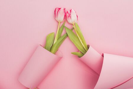 top view of tulips wrapped in paper swirls on pink backgroundの写真素材