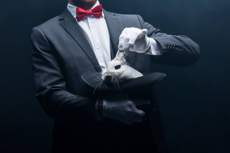 cropped view of professional magician showing trick with white rabbit in hat, in dark room with smokeの写真素材