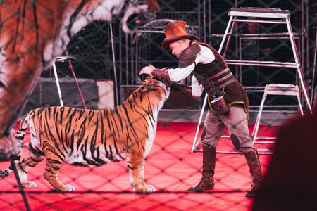 KYIV, UKRAINE - NOVEMBER 1, 2019: Side view of handler performing with tiger in circusのeditorial素材