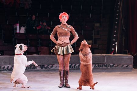 KYIV, UKRAINE - NOVEMBER 1, 2019: Smiling handler performing trick with dogie de bordeaux in circusのeditorial素材