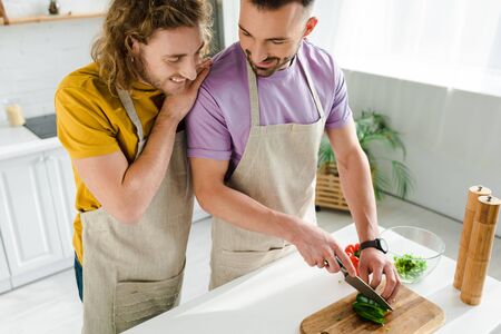cheerful homosexual men cooking at home