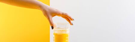 cropped view of woman holding glass of fresh delicious yellow smoothie on grey and yellow background, panoramic shotの写真素材