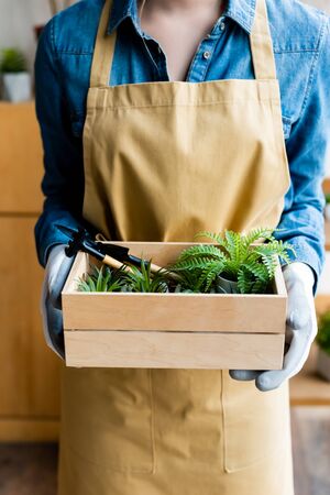 cropped view of girl in gloves holding wooden box with green plants and gardening toolsの写真素材