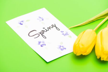 Card with spring lettering and yellow tulips on green backgroundの写真素材