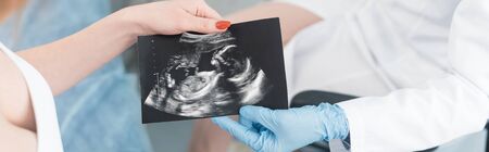 panoramic shot of doctor giving ultrasound scan to pregnant womanの写真素材