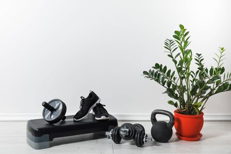sport equipment and sneakers at home with houseplant