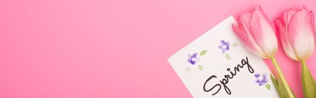 Top view of tulips and card with spring lettering on pink background, panoramic shotの写真素材