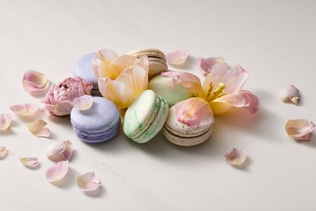 assorted delicious french macaroons with floral petals on grey background
