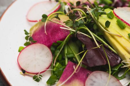 close up view of fresh radish salad with greens and avocadoの写真素材