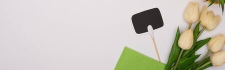 top view of spring tulips and green rag near blank card on white background, panoramic shot