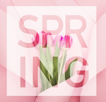 top view of tulips wrapped in paper on pink background, spring illustration