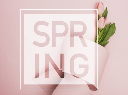 top view of tulips wrapped in paper on pink background, spring illustrationの写真素材