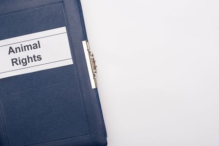 top view of blue book with animal rights inscription on white background