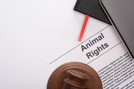 top view of animal rights inscription, black notebooks, smartphone and judge gavel on white backgroundの写真素材