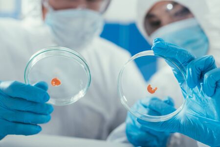 selective focus of two biochemists holding petri dishes with biomaterialの写真素材