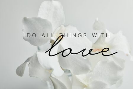 beautiful orchid flowers isolated on white, do all things with love illustrationの写真素材