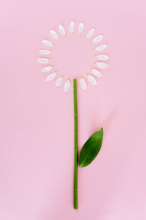 top view of white flower petals and green leaf on pink, mothers day conceptの写真素材